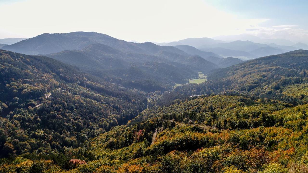Apartment In Niederoesterreich Mit 3 Mitten Im Wald