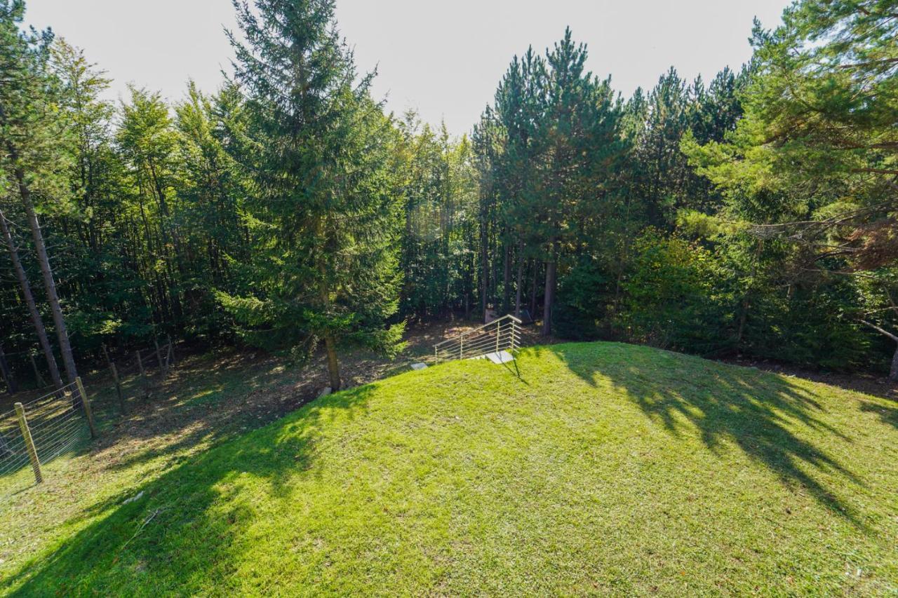 In Niederoesterreich Mit 3 Mitten Im Wald Apartmán Feuchtenbach