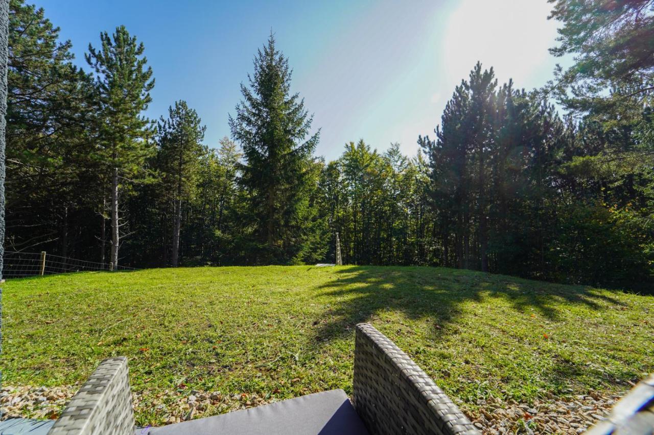 In Niederoesterreich Mit 3 Mitten Im Wald Apartment *