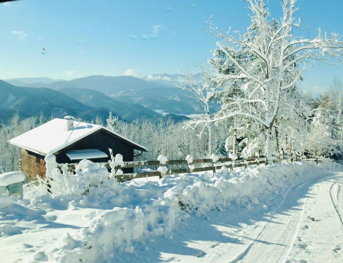 Apartment In Niederoesterreich Mit 3 Mitten Im Wald
