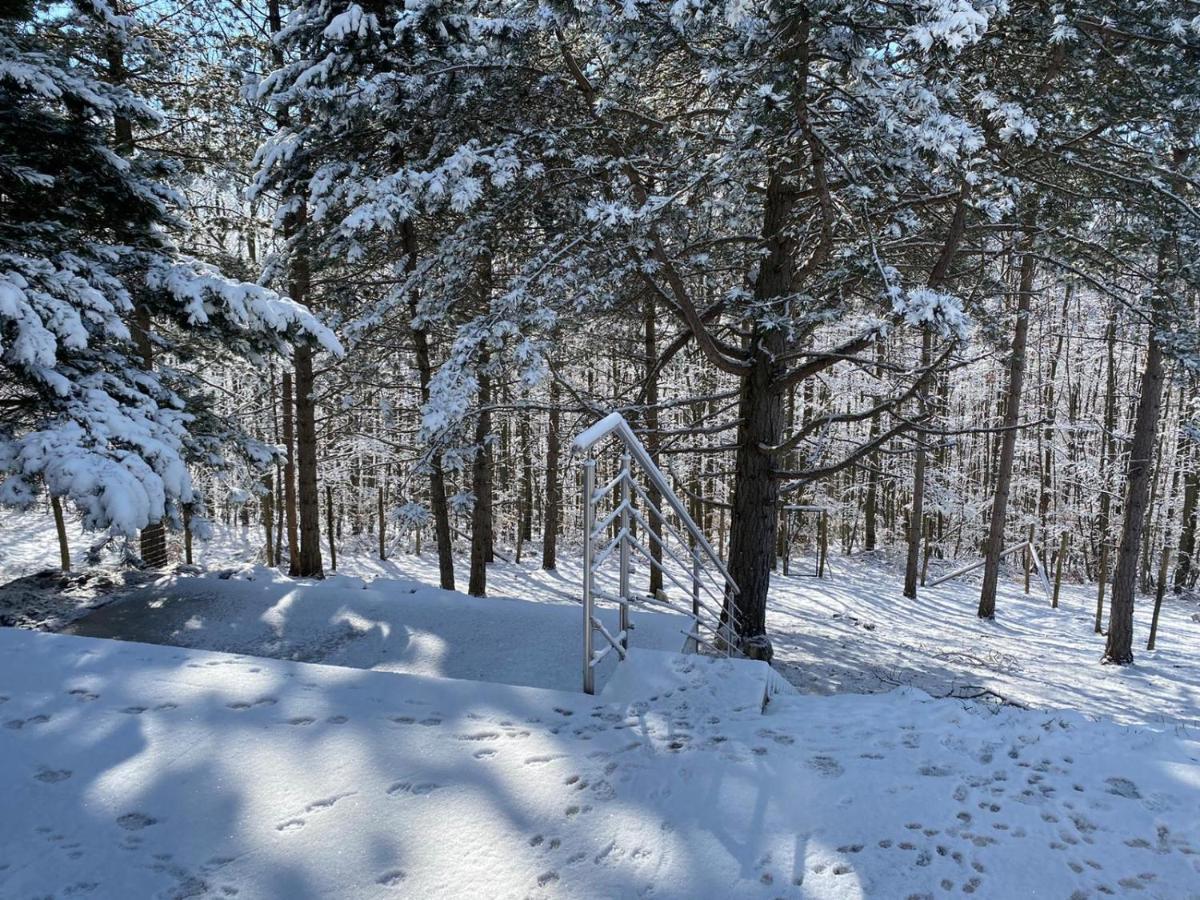 In Niederoesterreich Mit 3 Mitten Im Wald * Feuchtenbach